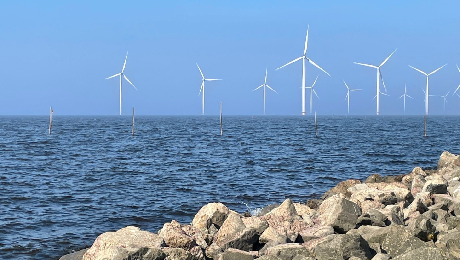 Windmolenpark bij Urk