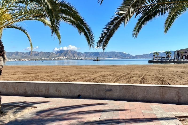Palmbomen omlijsten een zandstrand, bergen in de verte, onder een helderblauwe lucht.