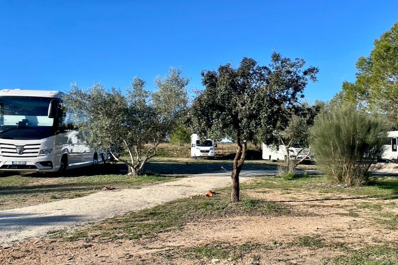 Camping met campers geparkeerd tussen de bomen op een zonnige dag.