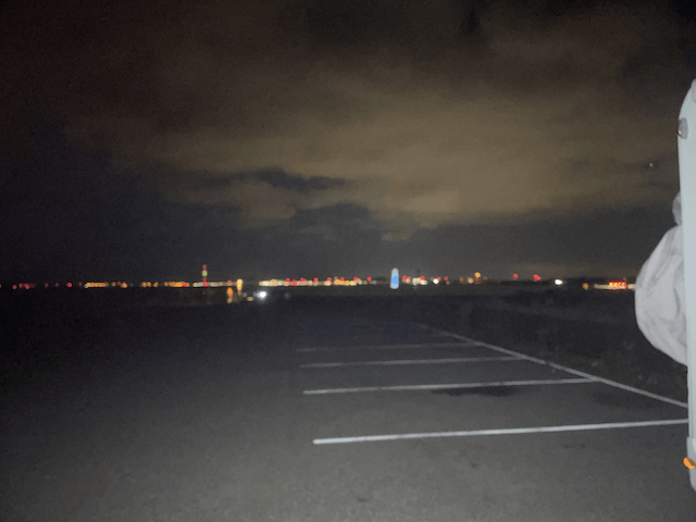 De Oostvaardersdijk bij nacht