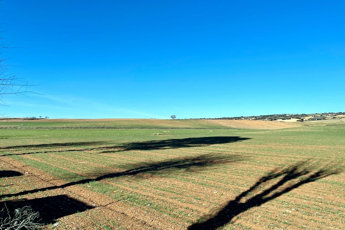 Het platteland #1