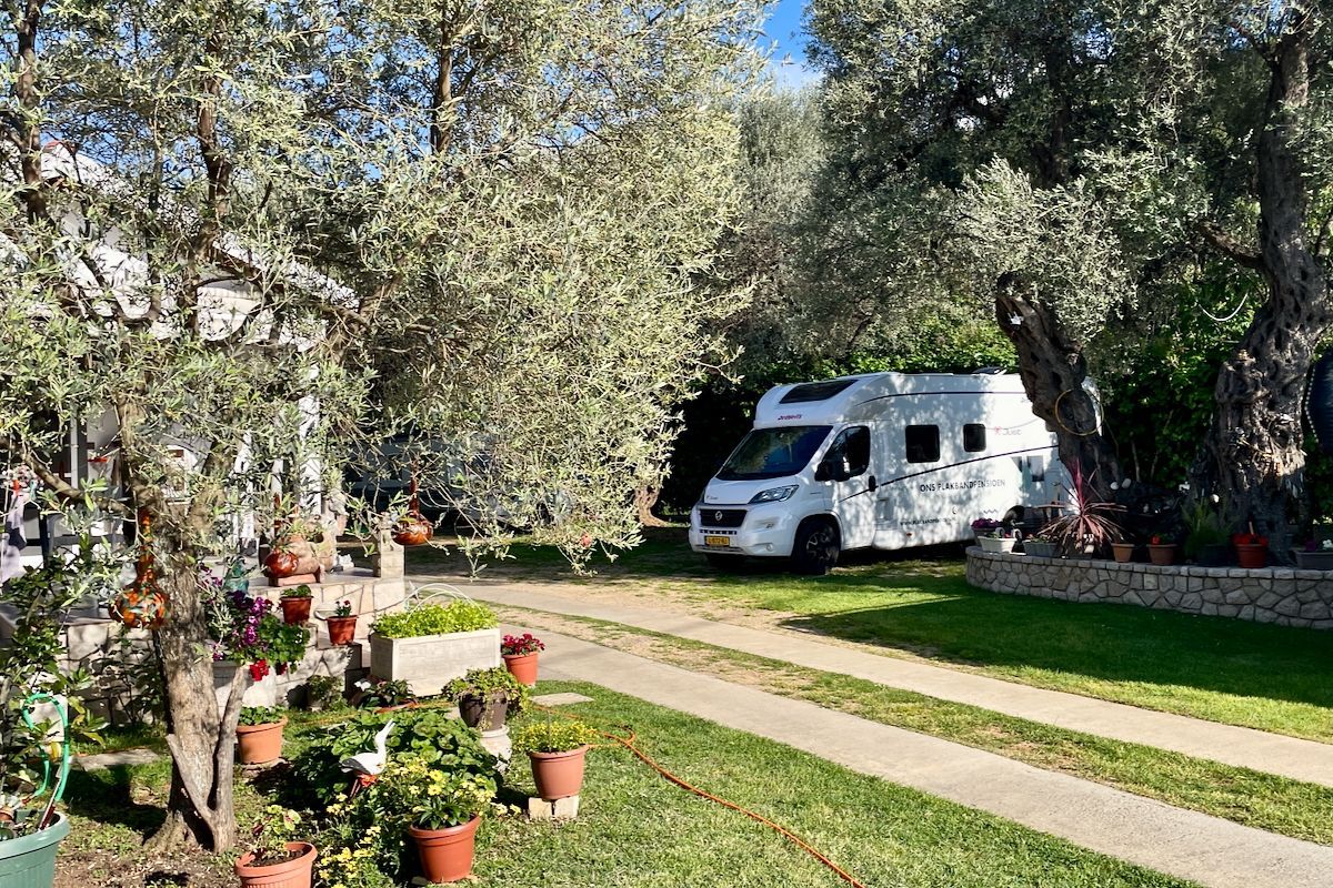 In het zonnetje Een witte camper staat geparkeerd in een grasveld, omgeven door bomen.