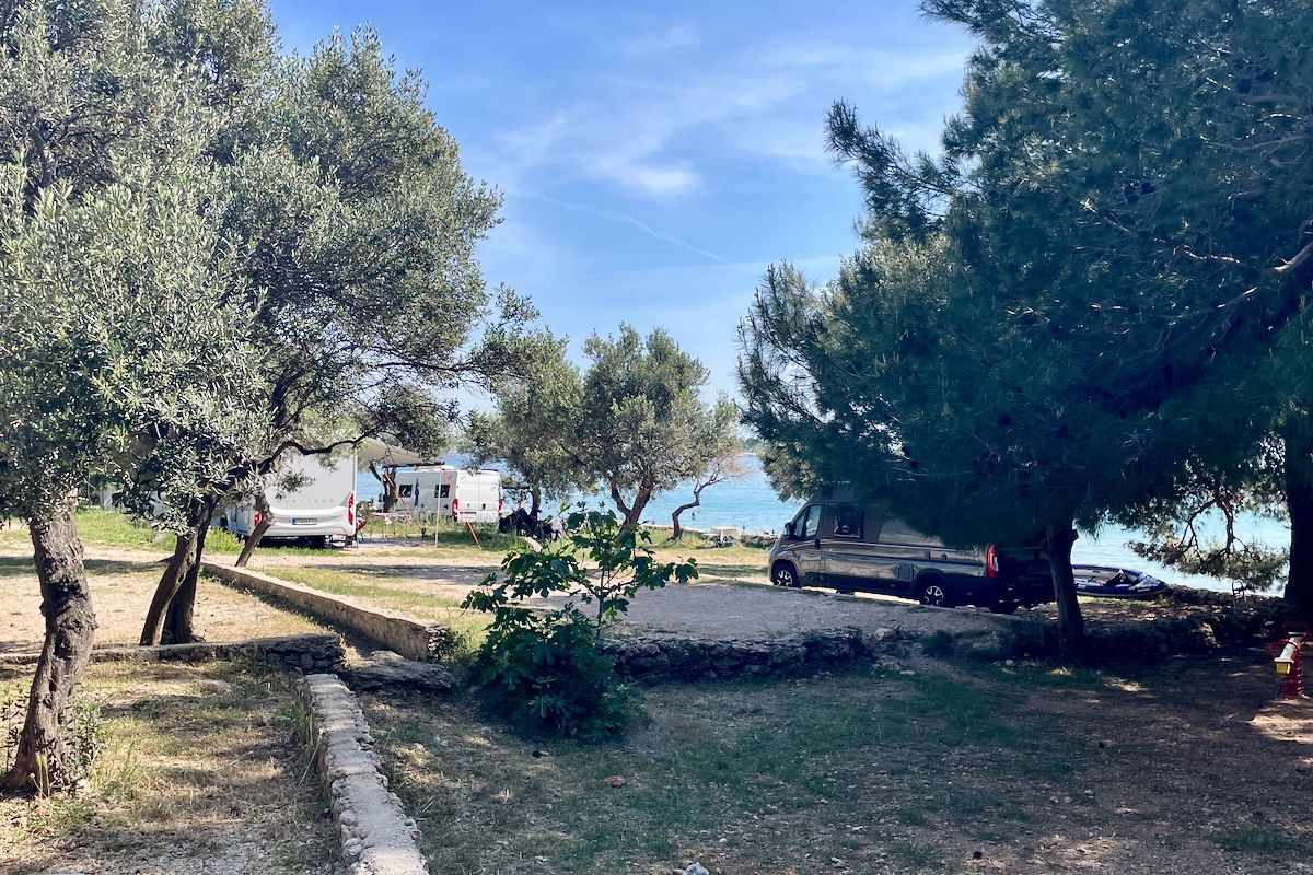 Zon en schaduw Een park met bomen en een pad dat naar de oceaan leidt.