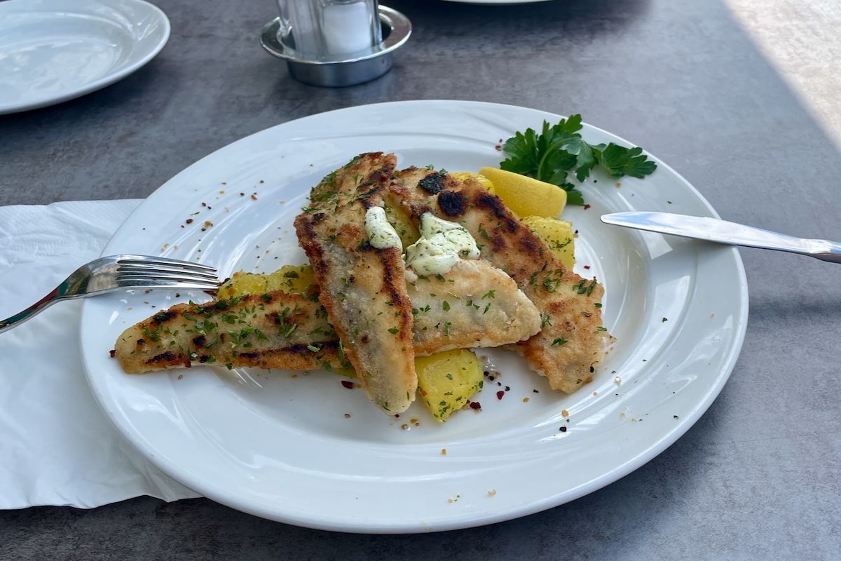 Gegrilde snoekbaarsfilet Een wit bord met daarop gegrilde snoekbaars-filet.