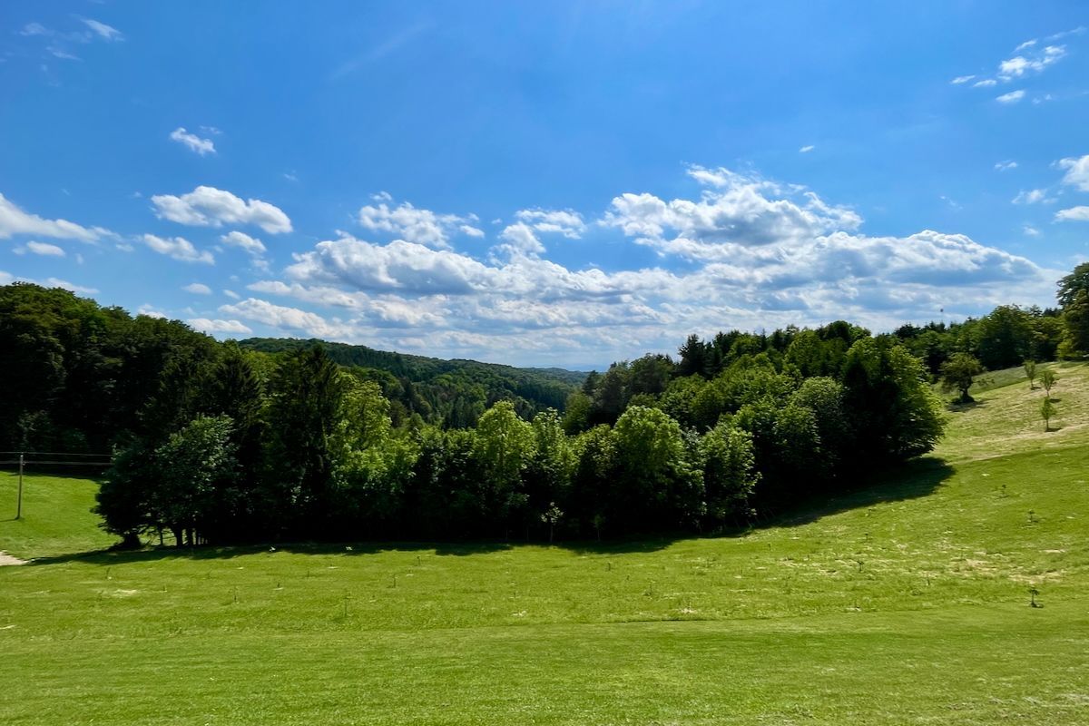 Het uitzicht Een weelderig groen veld met bomen op de achtergrond en een blauwe lucht met wolken.