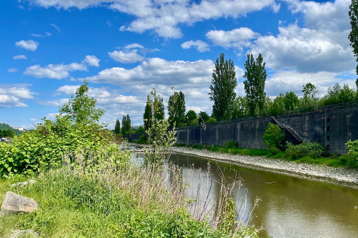 De Donau Een rivier, de Donau, omgeven door bomen en gras op een zonnige dag.