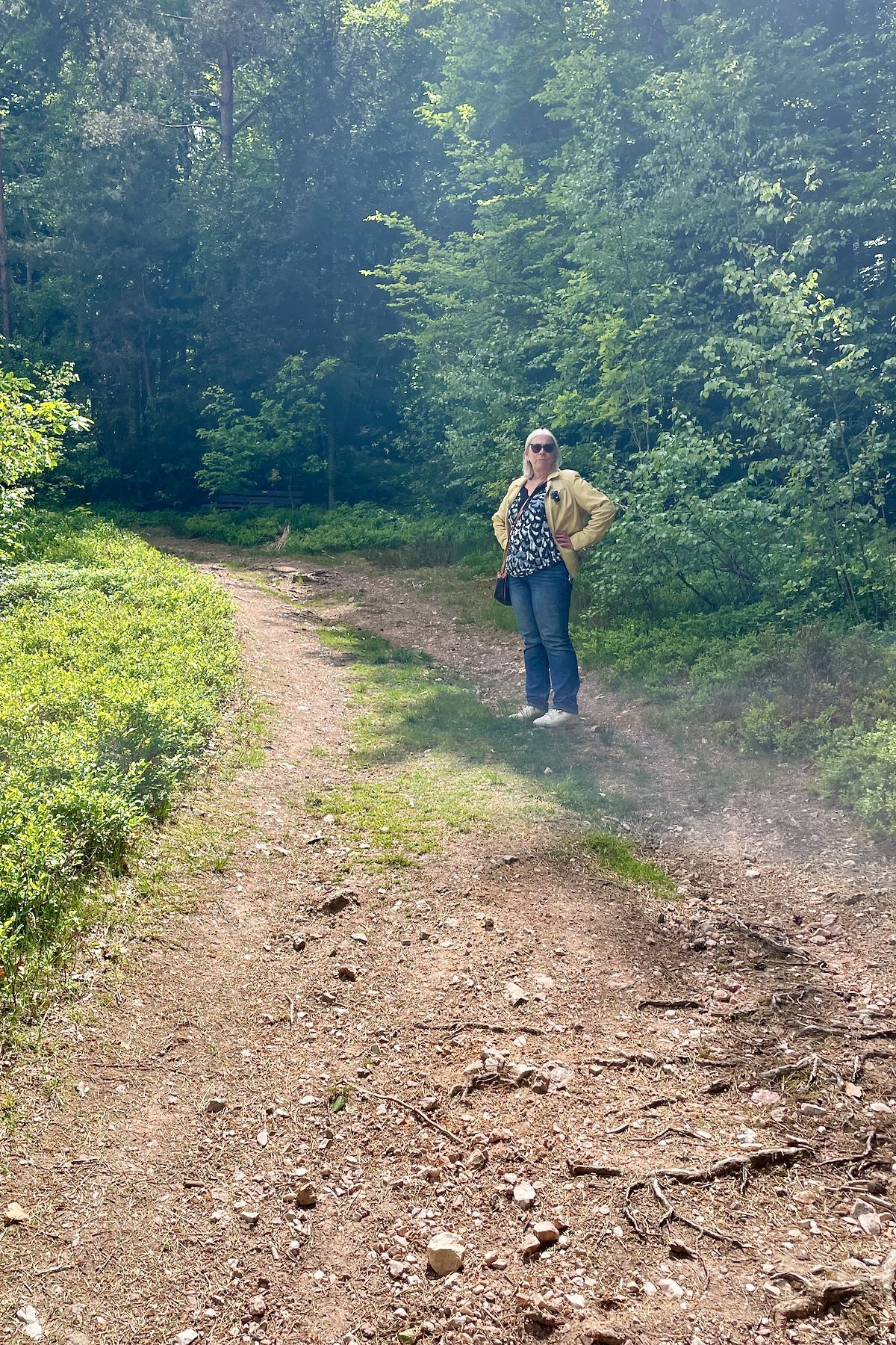 Het laatste stukje te voet Een vrouw staat op een zandpad in het bos.