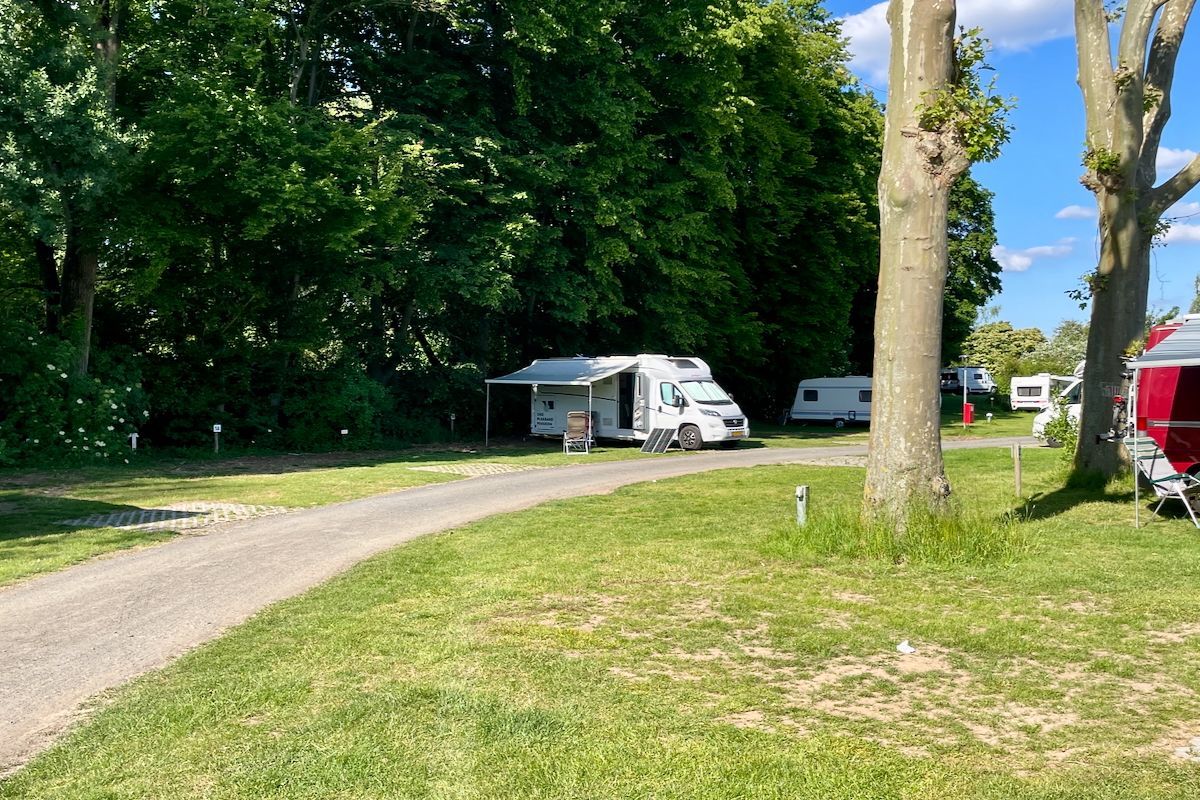 Nog een beetje leeg Een camper staat geparkeerd in een grasveld naast een boom.