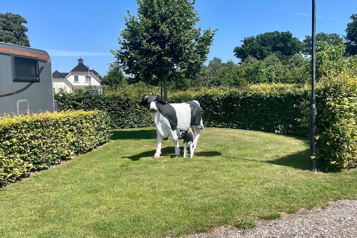 Leuk moeder met kalf Een zwart-witte koe staat in een grasveld.