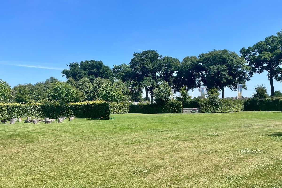 Het groene grasveld met kampvuur plaats Een weelderig groen veld met bomen op de achtergrond en een blauwe lucht