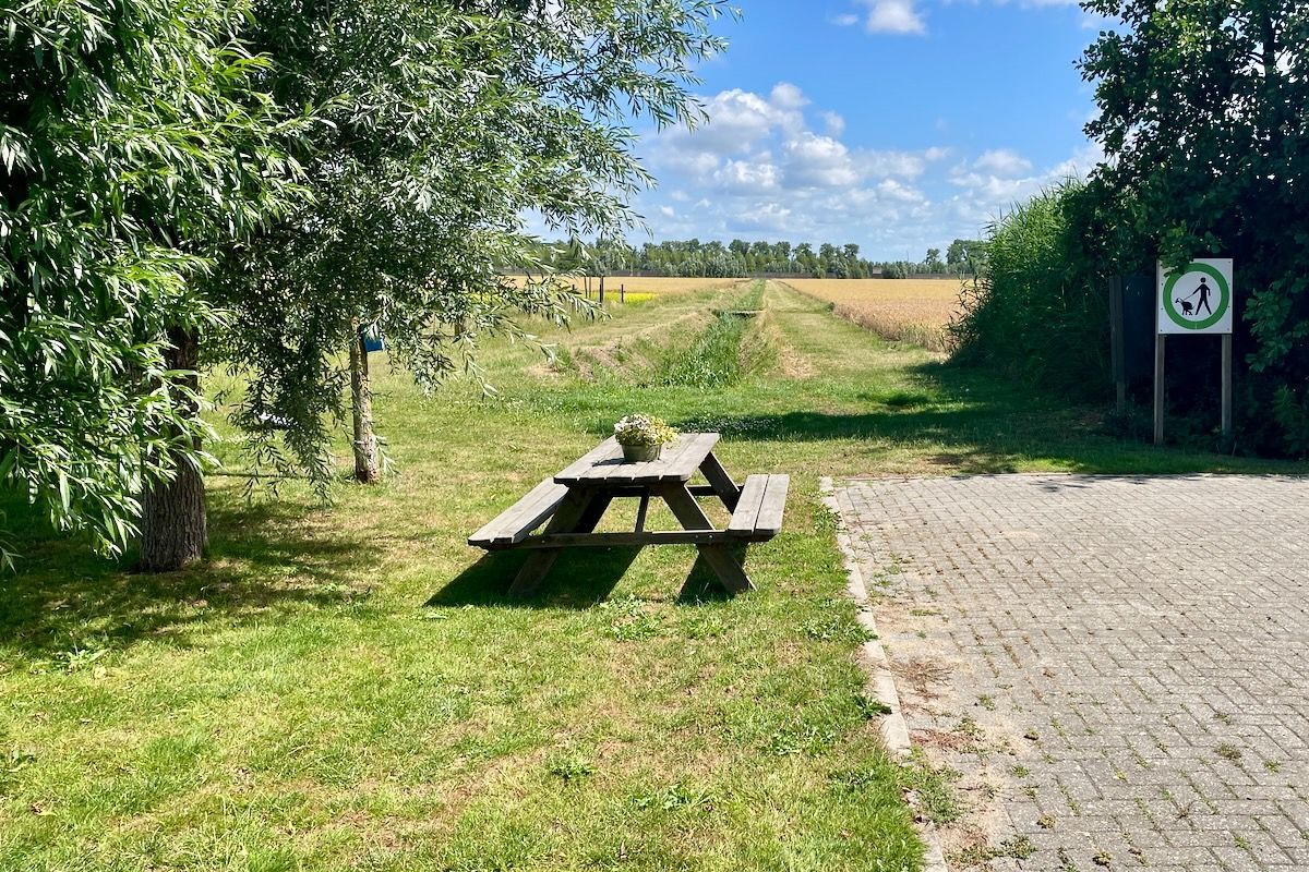 Een houten picknicktafel staat midden in een grasveld.