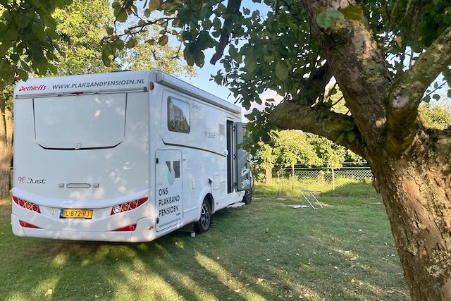 Een witte camper staat geparkeerd in een grasveld naast een boom.