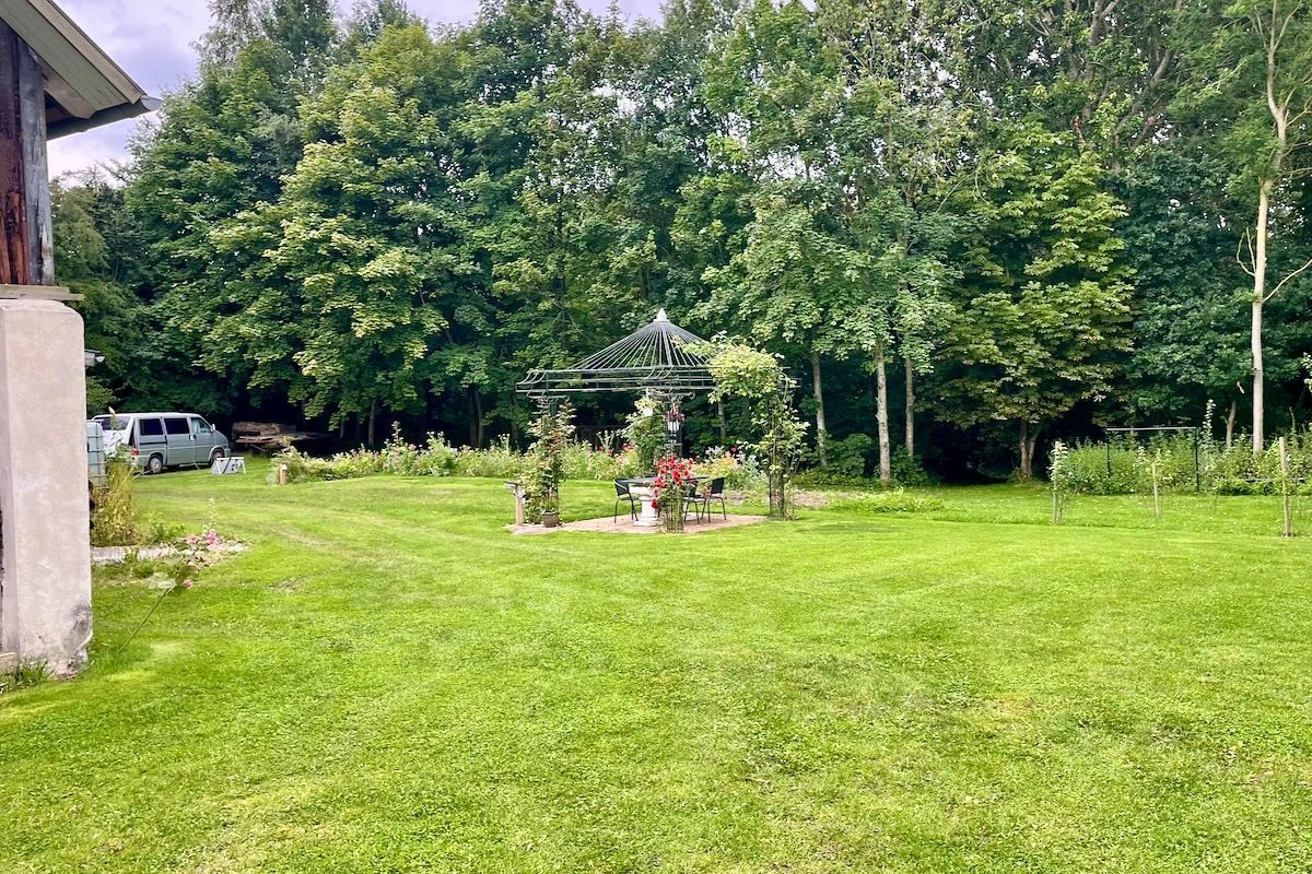 Grasveld met prieeltje Een met gras begroeide achtertuin met een metalen prieel, kleine planten en een auto geparkeerd bij bomen.