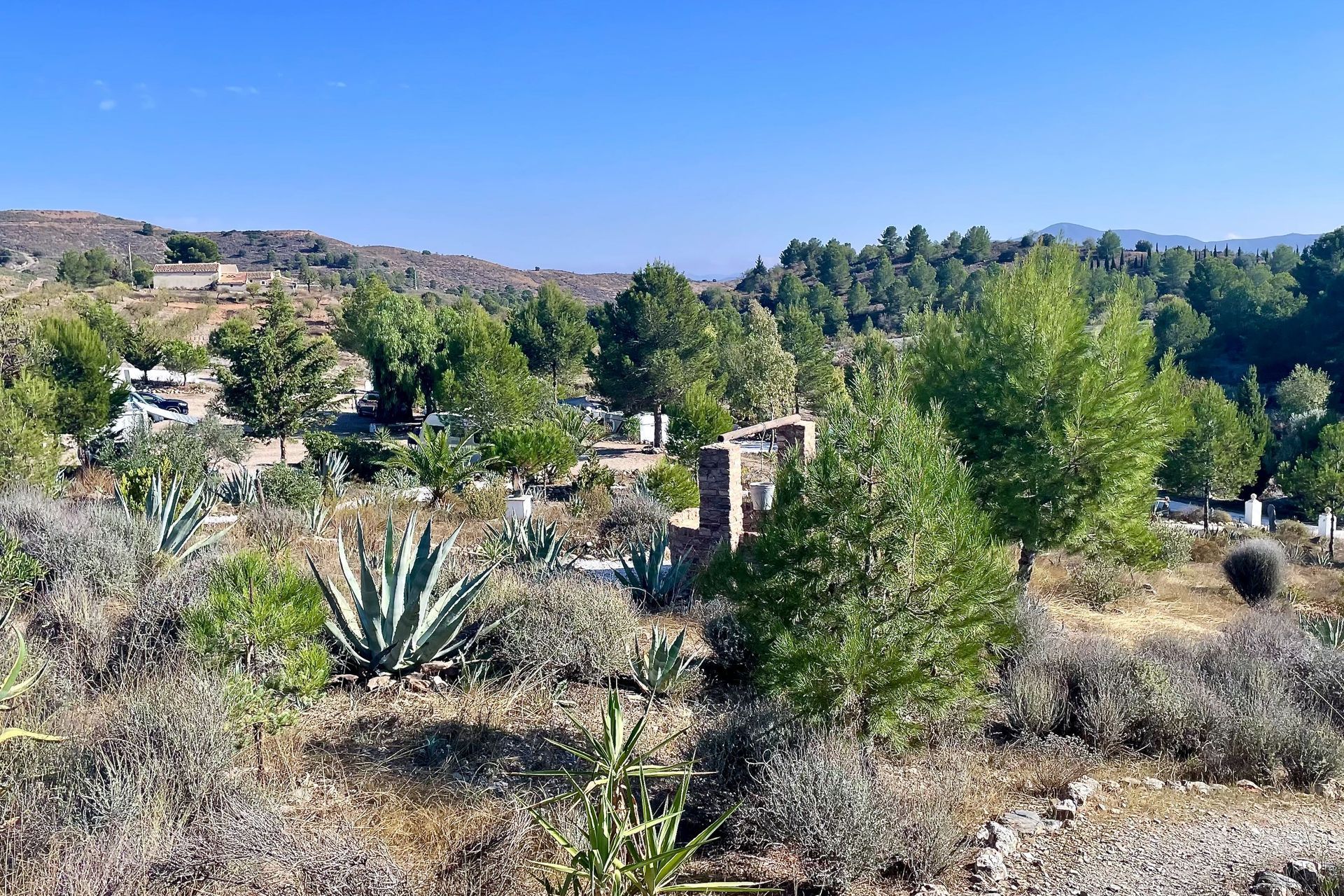 Een zonnig landschap met groene bomen, agaveplanten en een stenen bouwwerk onder een helderblauwe lucht.