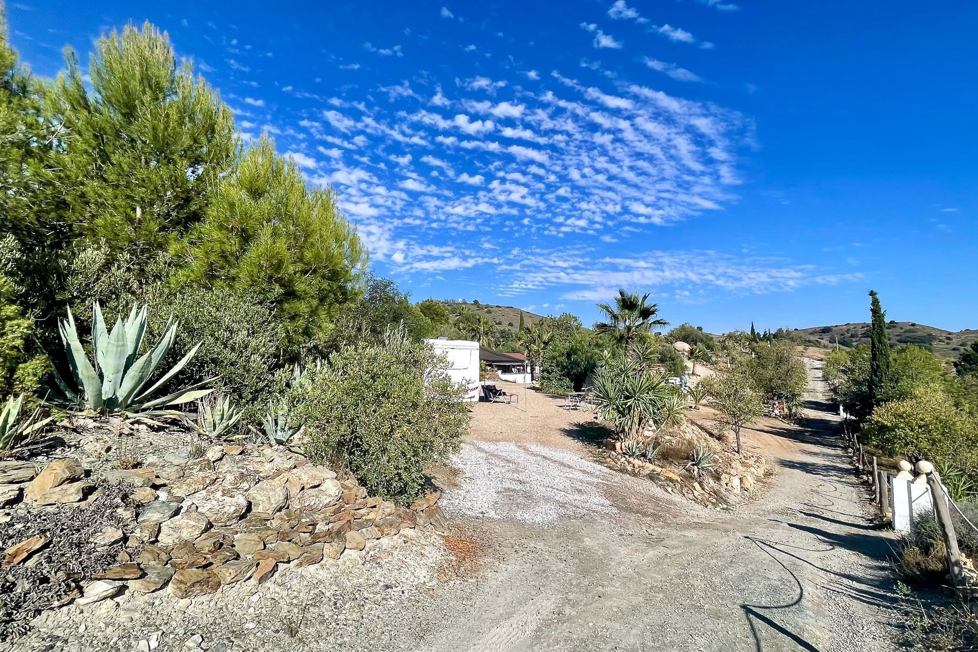 El Zorro - onze camper Een onverharde weg die leidt naar een witte camper onder een helderblauwe lucht met dunne wolken en groen gebladerte.
