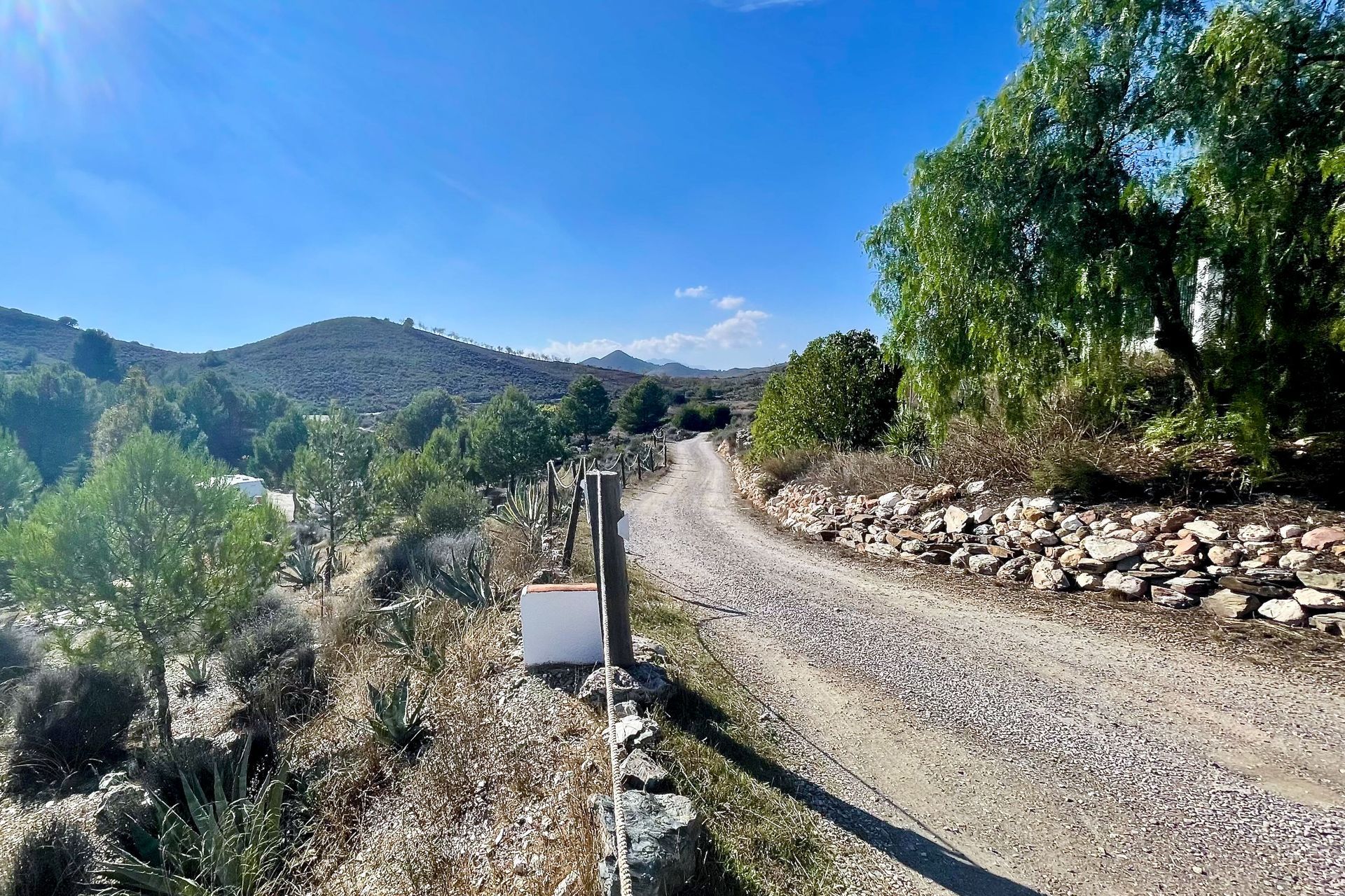 El Zorro - in- en uitgang Een onverharde weg slingert door een zonnig landschap met heuvels en bomen, met een strakblauwe lucht erboven.
