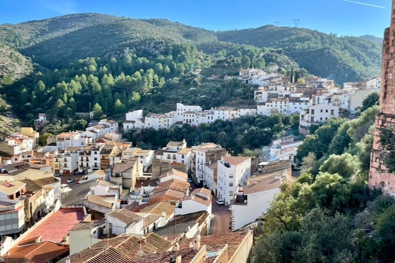 Witte gebouwen rijzen als een waterval over de heuvel, verscholen tussen weelderige groene bomen en onder een helderblauwe lucht.