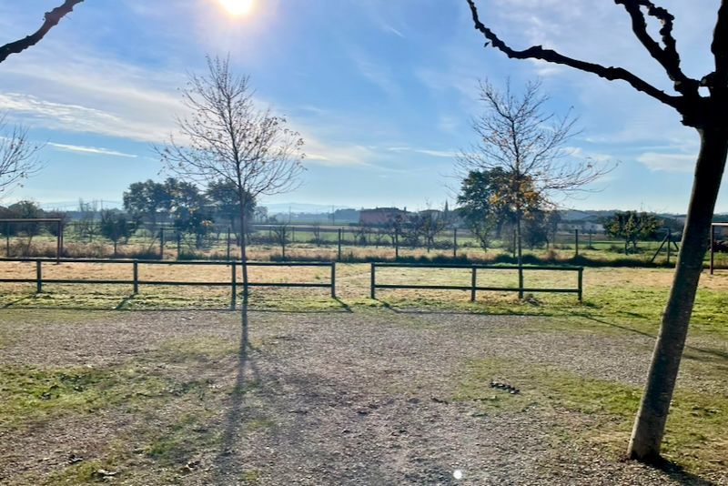Zonnig uitzicht op de buitenwereld met bomen, een hek en een gebouw in de verte tegen een blauwe lucht.