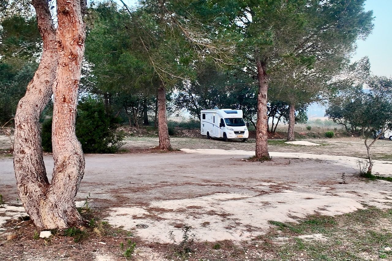 Witte camper geparkeerd op een zanderige open plek tussen de bomen.