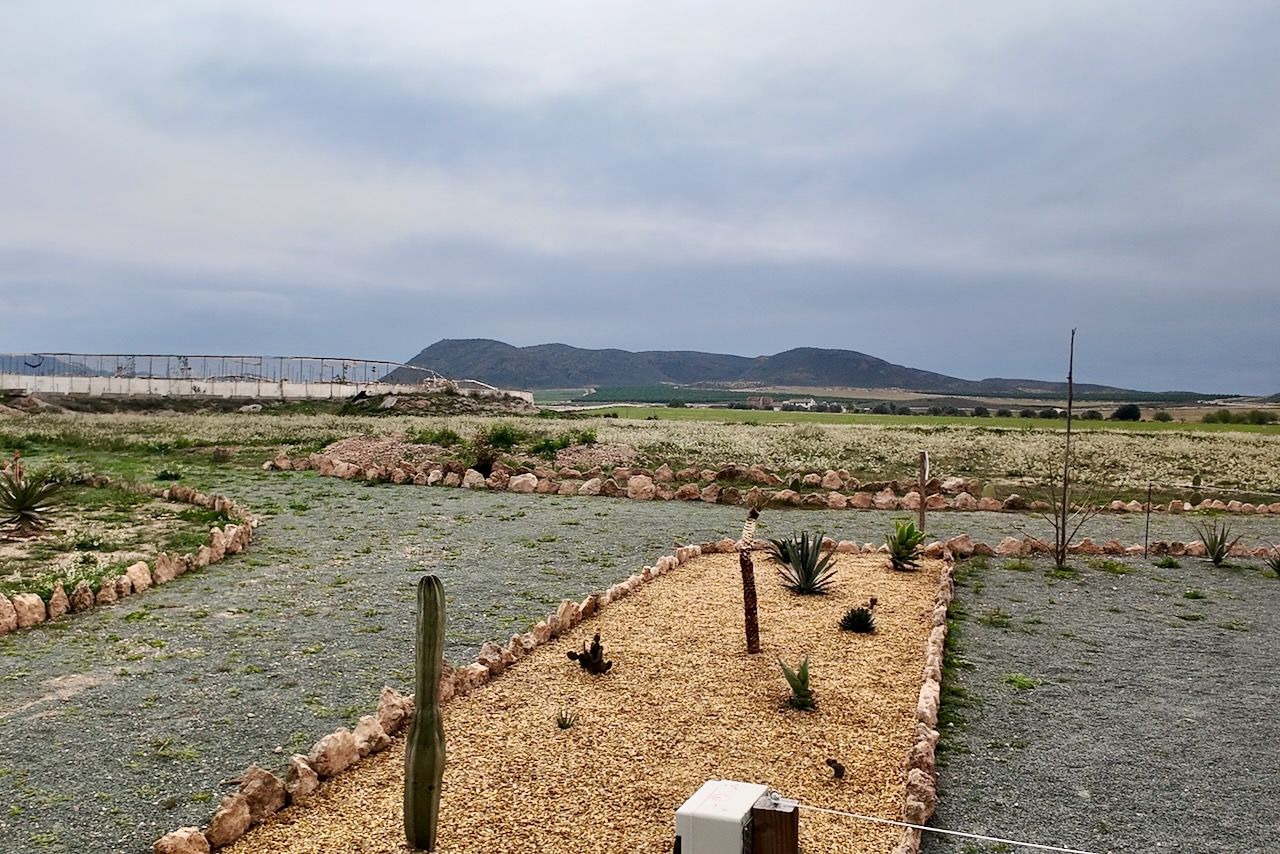 Grindpaden door een veld met planten en kleine rotstuinen, in de verte bergen onder een bewolkte hemel.