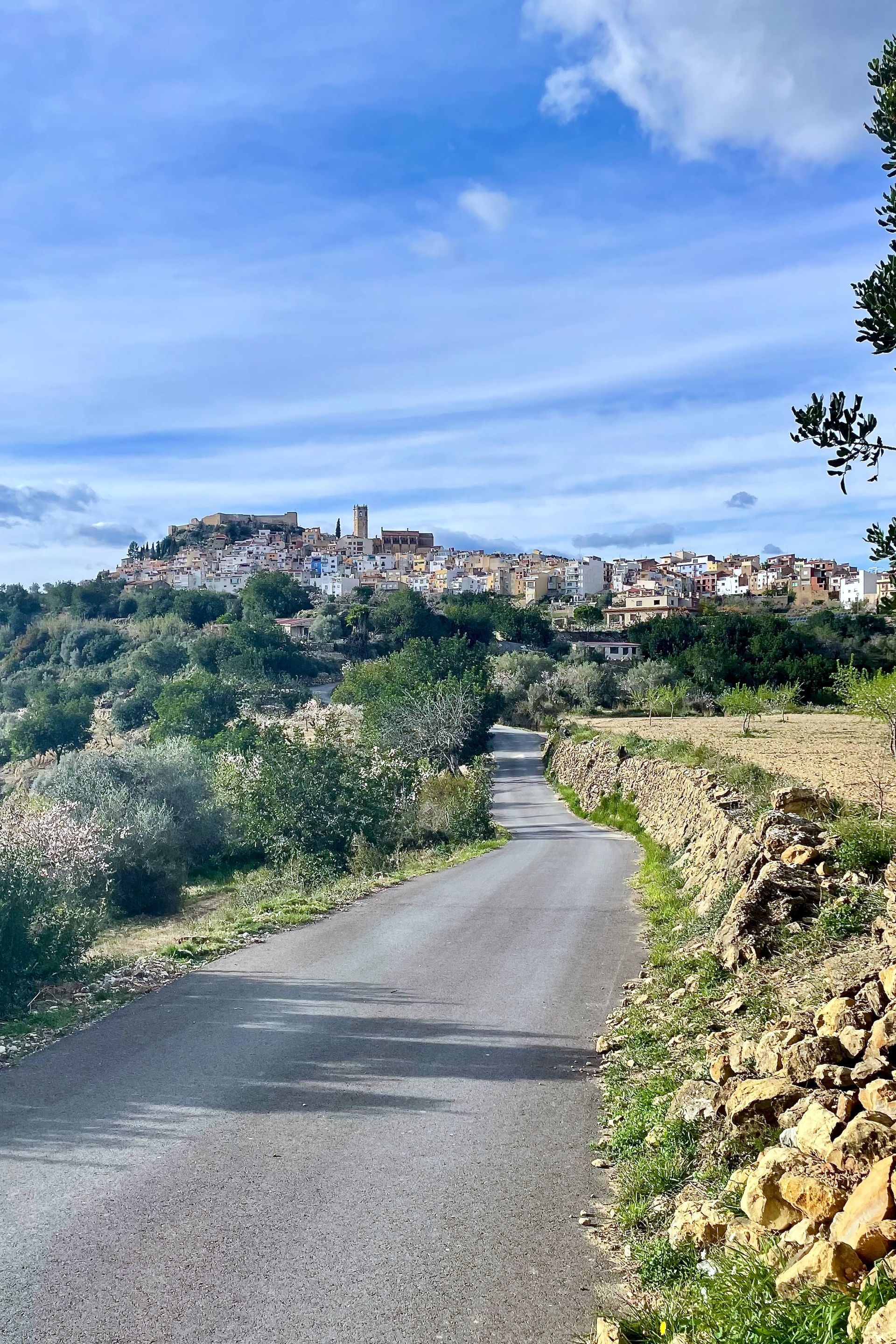 Een weg kronkelt naar een stadje op een heuveltop onder een blauwe hemel. Gebouwen staan ​​dicht bij elkaar op de heuvel, omgeven door groen gebladerte.