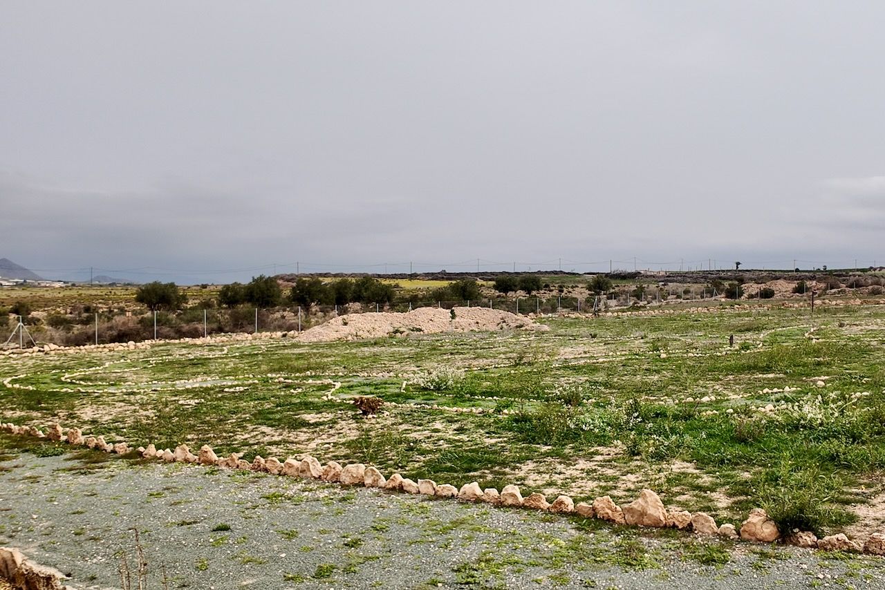 Grasveld onder een bewolkte hemel, kleine bomen op de achtergrond, grijs grind op de voorgrond.