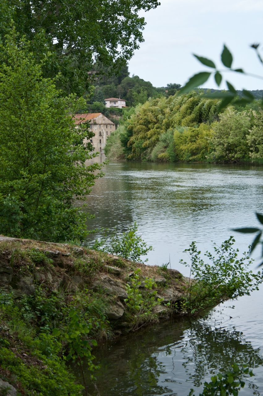 Calm river bordered by lush green trees and shrubs, with a distant stone building on the far bank