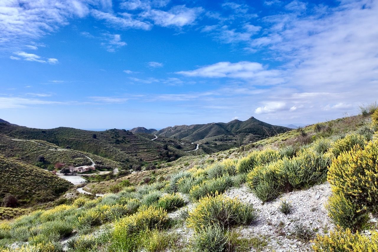 Een zonovergoten, ruig berglandschap met groene struiken en gele wilde bloemen die de hellingen bedekken onder een blauwe hemel.