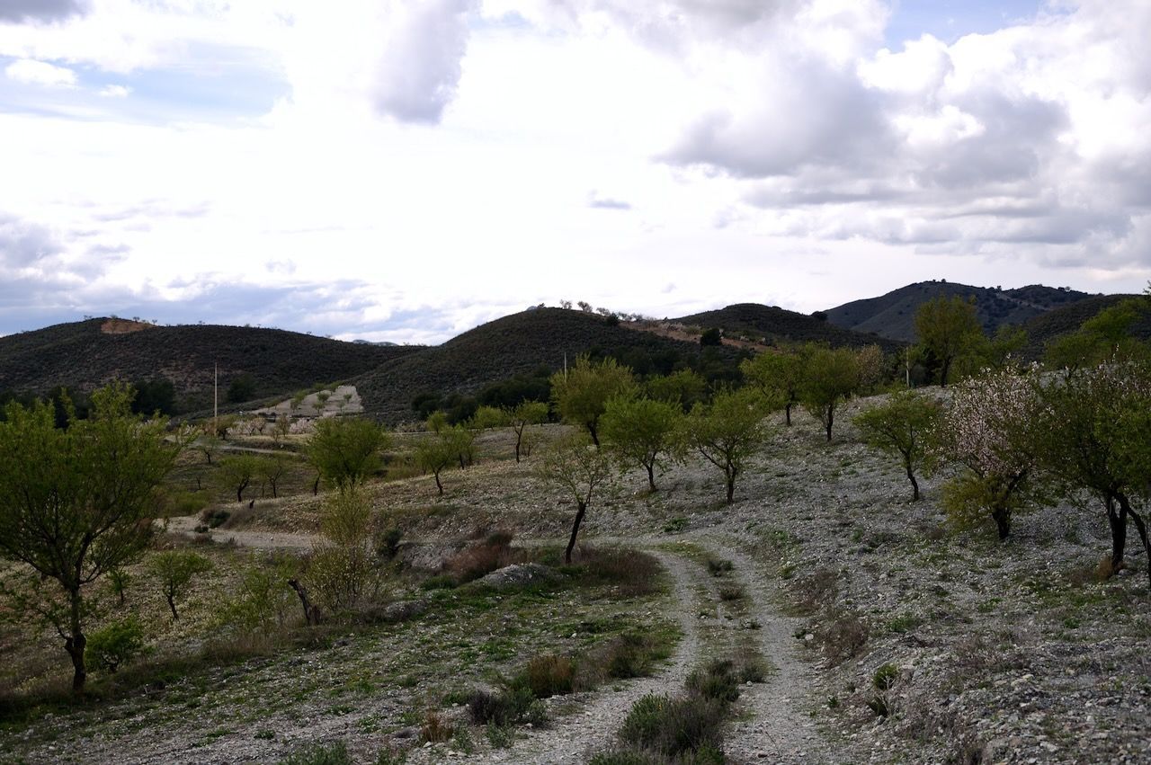 Een zandpad slingert door een rotsachtig, terrasvormig landschap met spaarzame bomen tegen een achtergrond van glooiende heuvels en wolken.