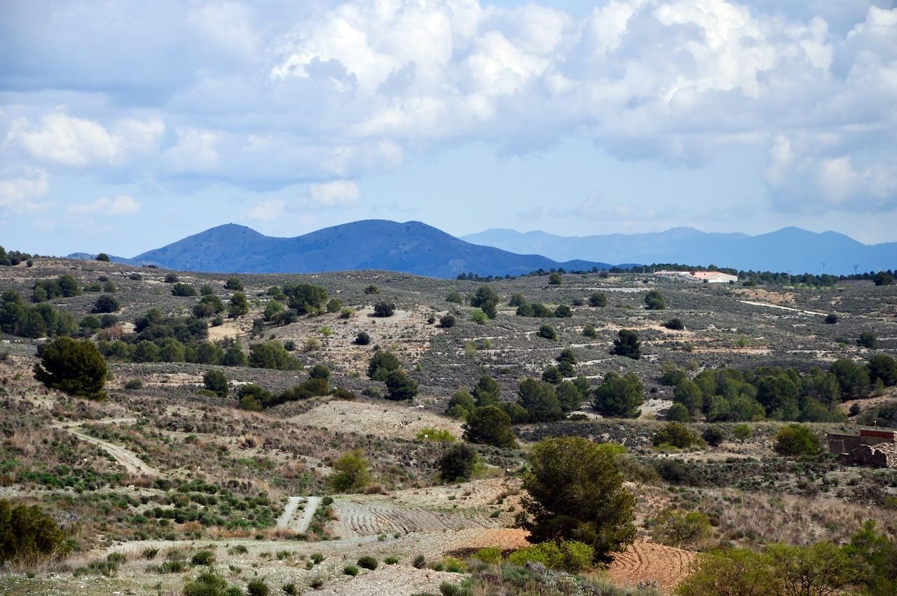 Een heuvelachtig, dor landschap met verspreide struiken, schaarse bomen, terrasvormige hellingen en in de verte bergen onder een bewolkte hemel.