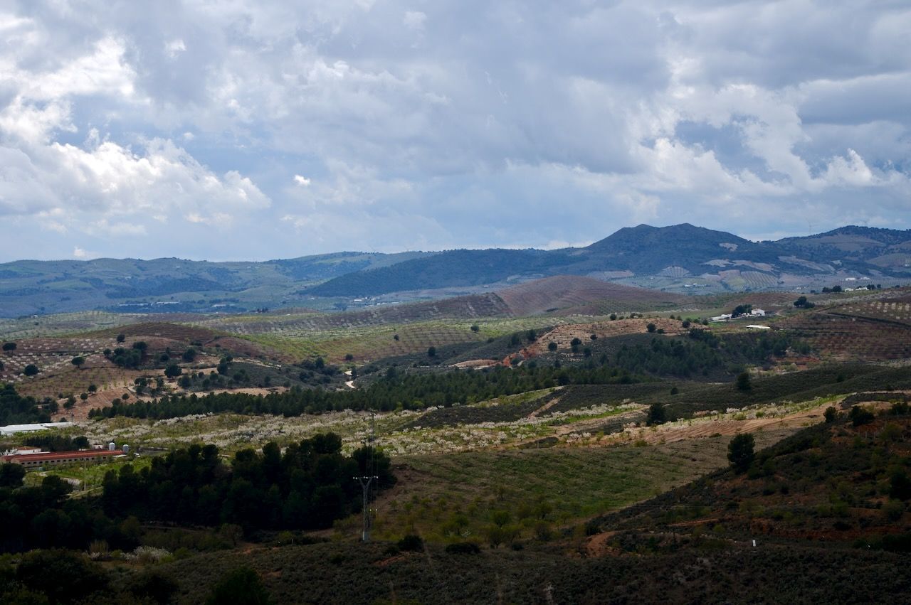 Glooiende heuvels onder een bewolkte hemel met stukjes bos, droge vegetatie en bergen in de verte.