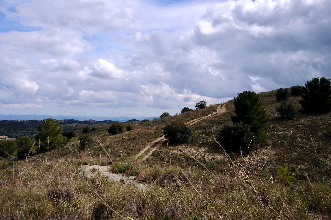 Een zandpad slingert door een glooiende, met gras begroeide heuvel, bezaaid met groene dennenbomen, onder een bewolkte blauwe hemel.