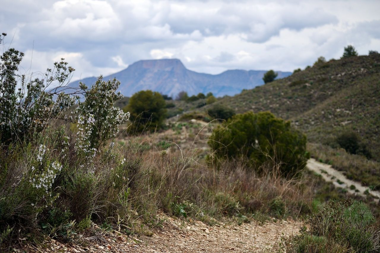 Een pad slingert door een droog, grasrijk landschap met kleine struiken onder een bewolkte hemel, richting een berg in de verte.