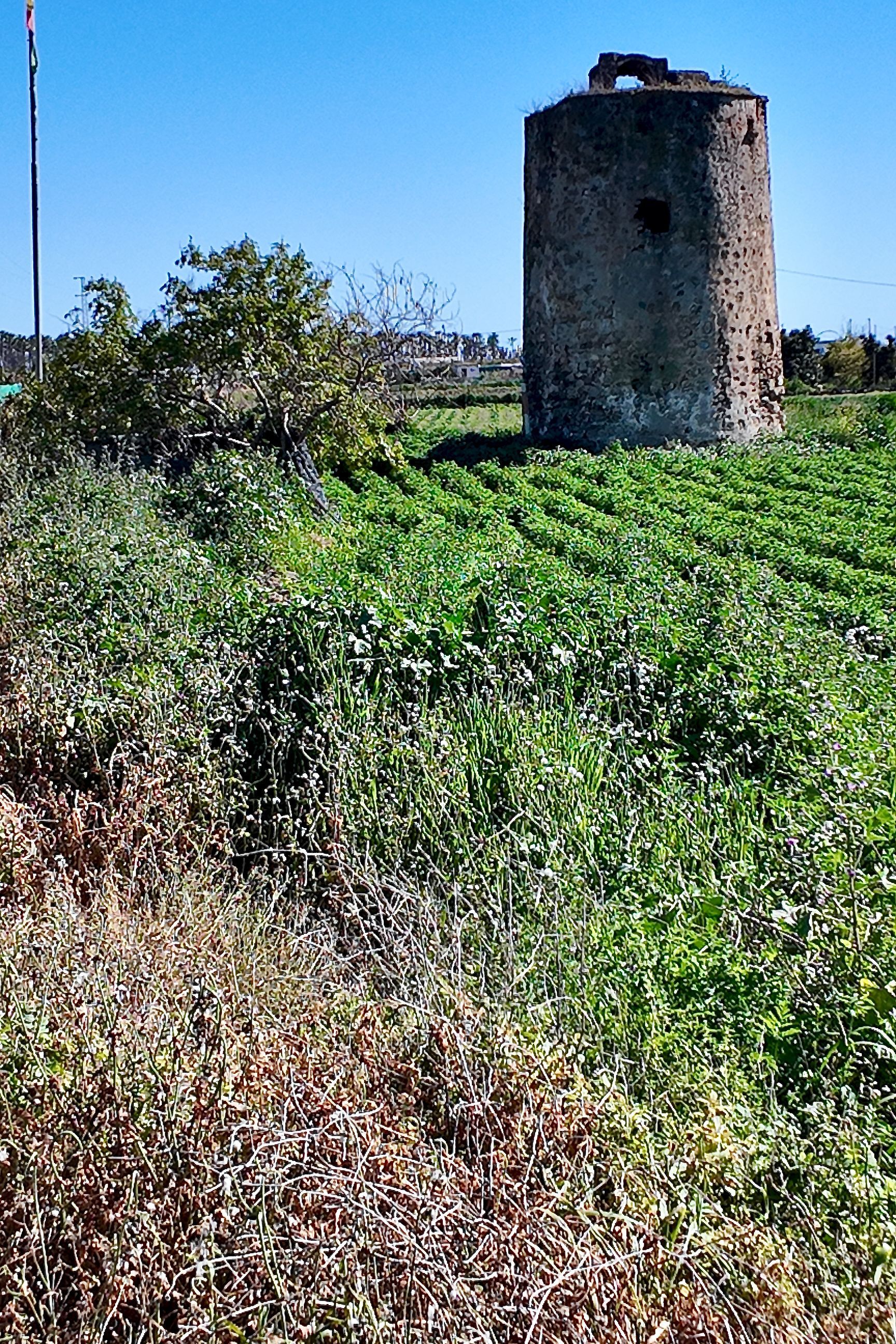 Een oude, cilindrische stenen toren staat in een helder, zonovergoten groen veld onder een strakblauwe hemel.
