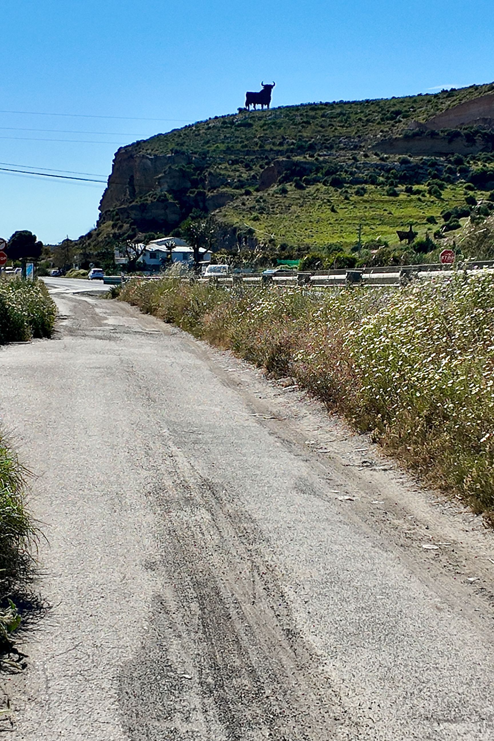 Een zandpad leidt naar een snelweg, onder een groot silhouet van een Osborne-stier die bovenop een rotsachtige, met gras begroeide heuvel staat.