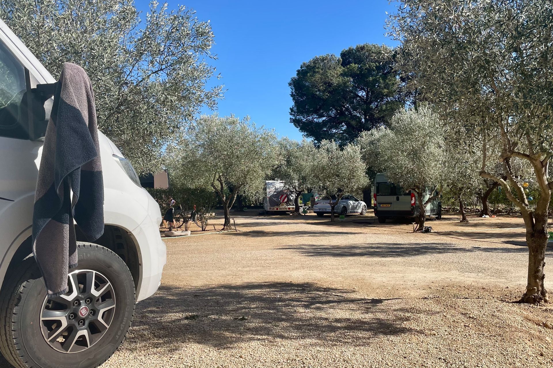 Een camper staat geparkeerd op een grindterrein tussen olijfbomen op een zonnige dag.