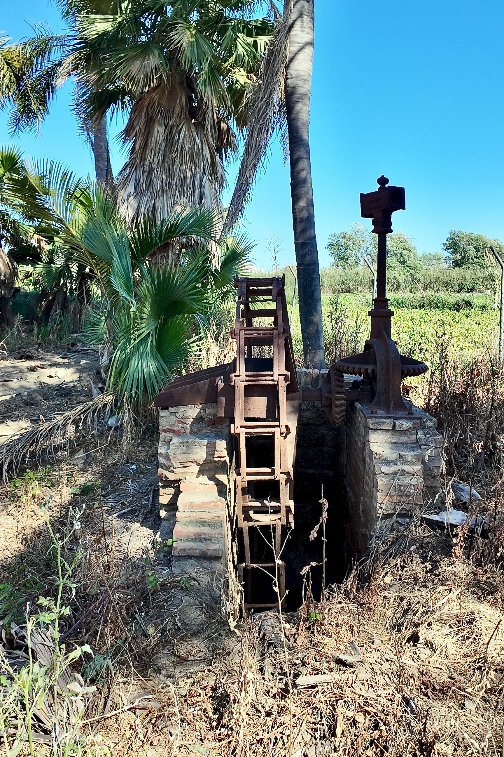 Een oud, verroest metalen waterrad staat rechtop in een droog, overwoekerd veld naast een palmboom onder een helderblauwe hemel.