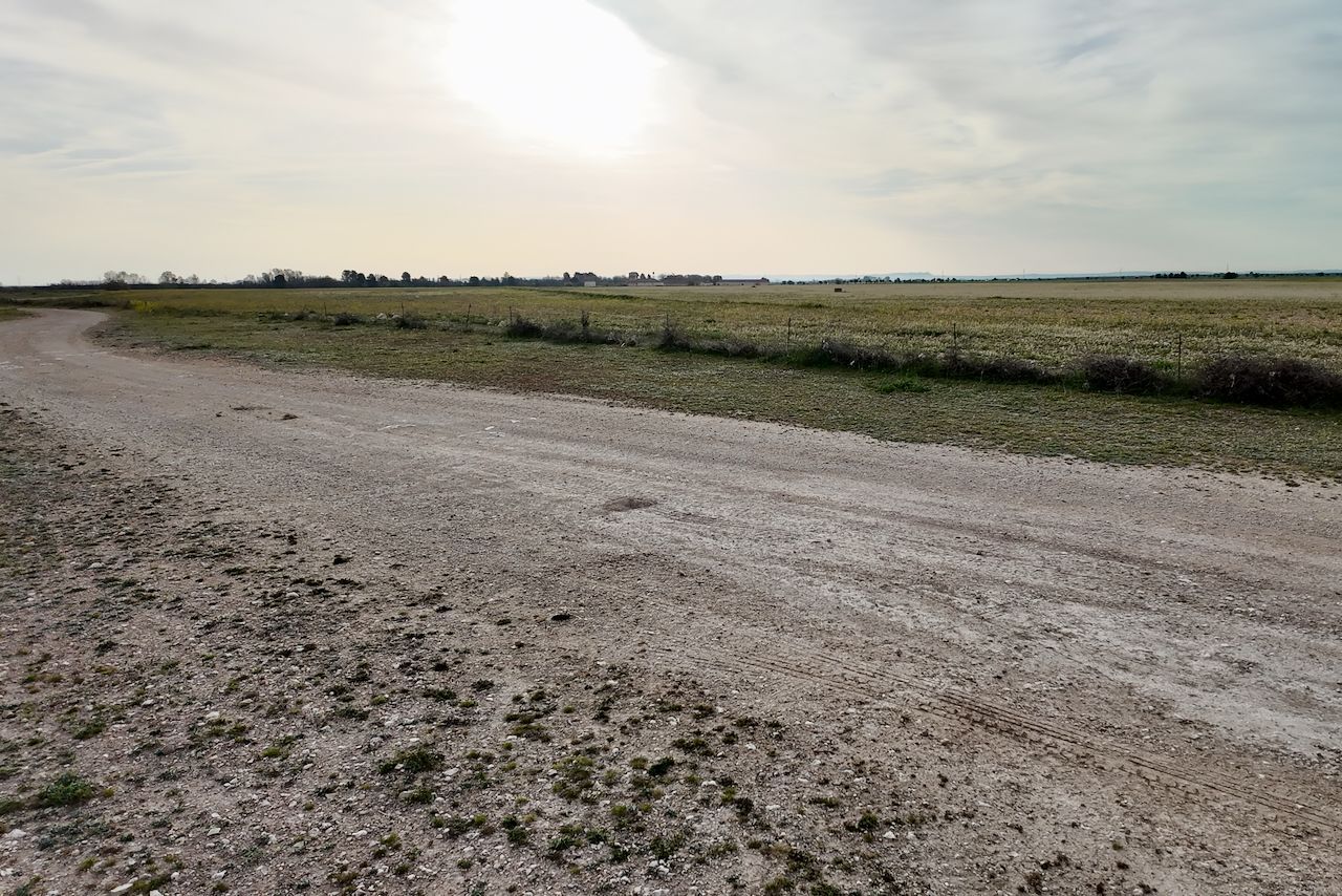 Een lichtgekleurde, onverharde landweg kronkelt door een vlak, grasrijk veld onder een bleke, bewolkte hemel.