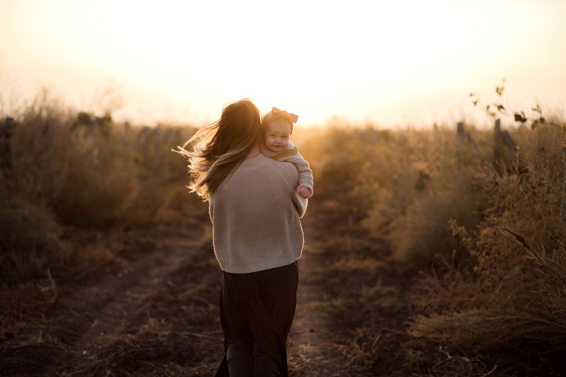 Person holding a dog on a sunlit path at sunset
