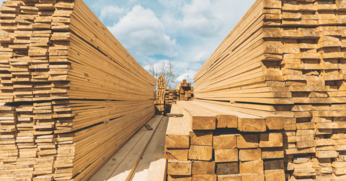 The price of lumber is up 193%—and about to spike even higher