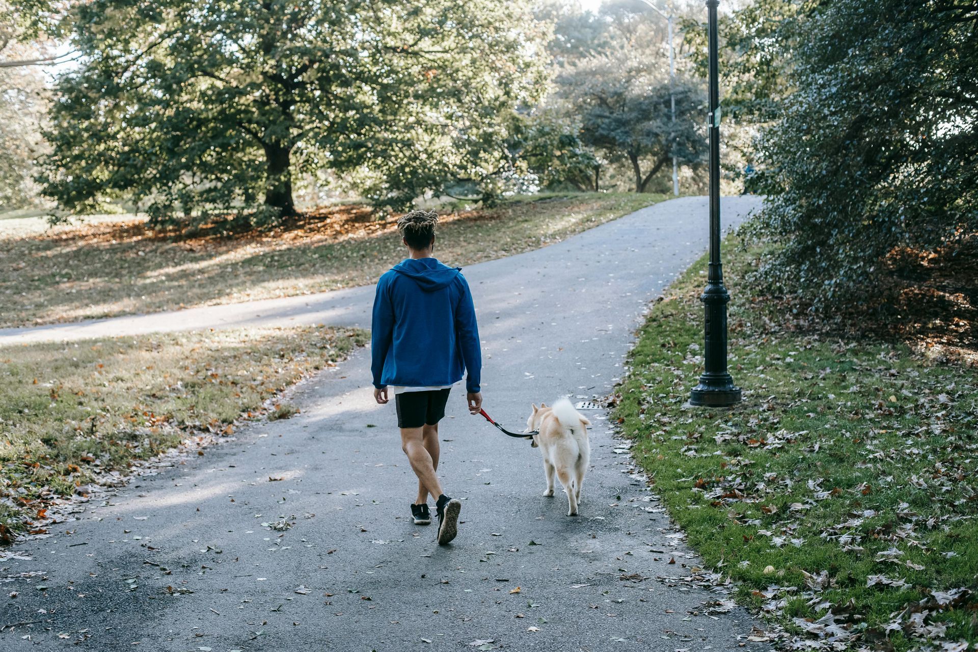 Dog walking loosely on leash beside person on path