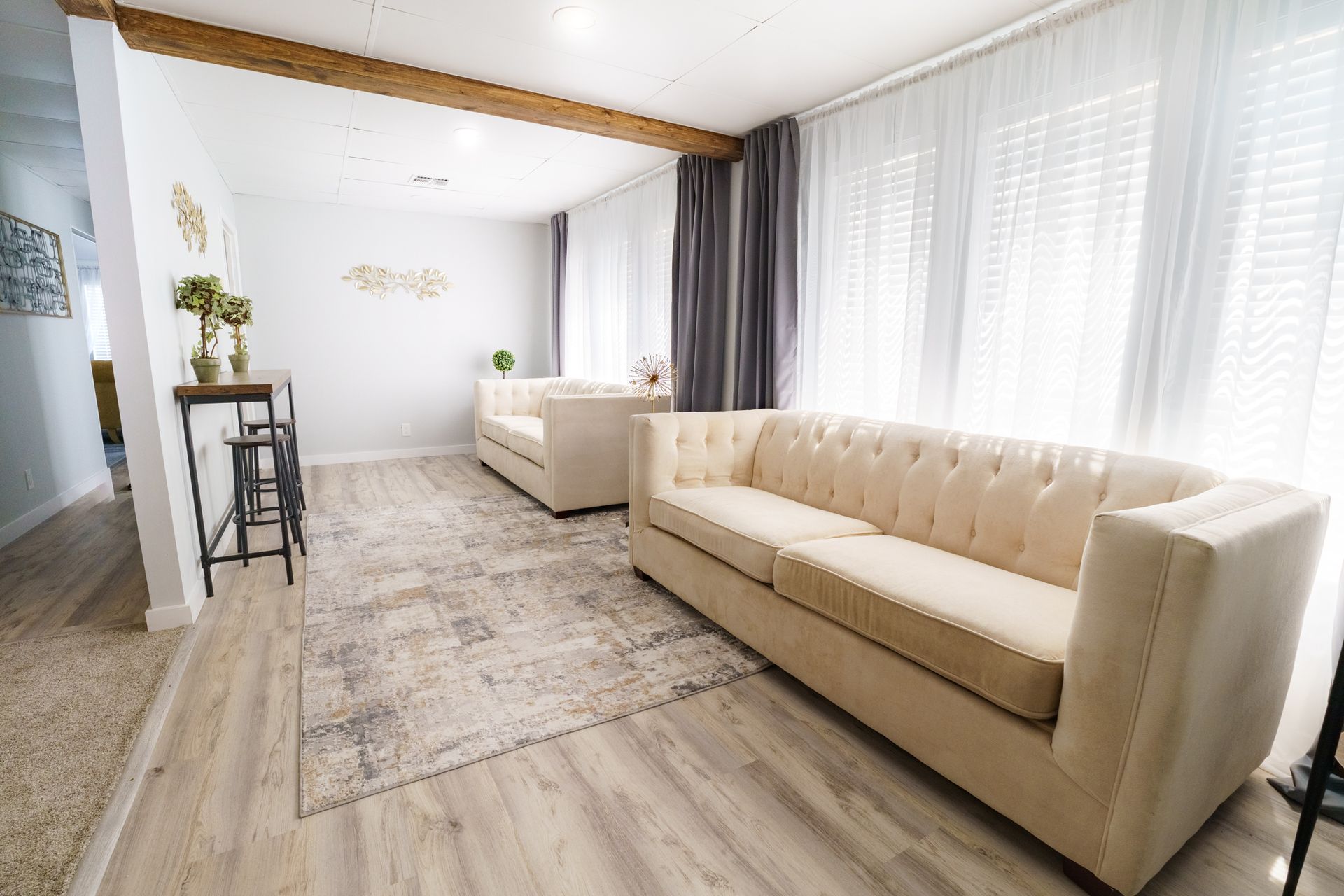 the sun is shining through the trees in the forest