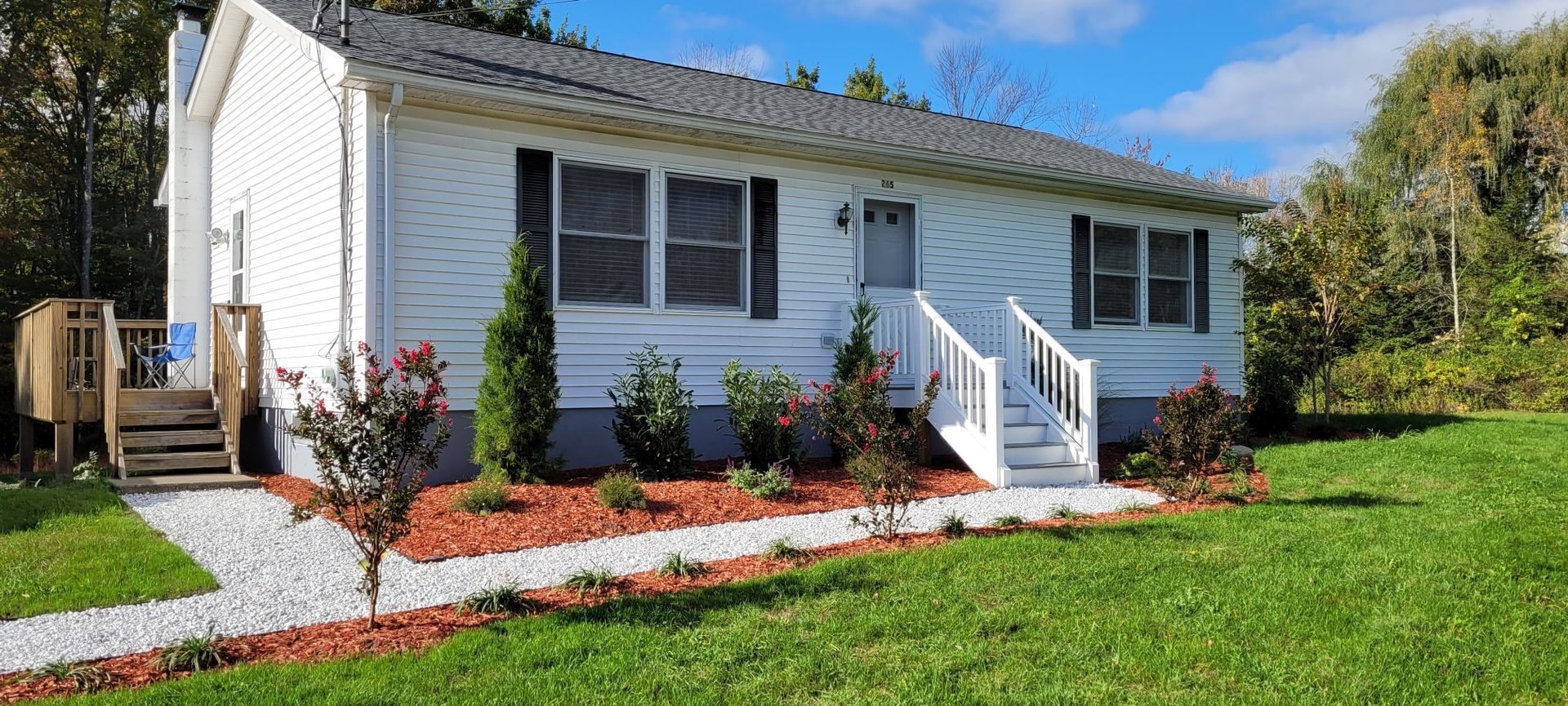A potted plant with pink and yellow flowers and green leaves
