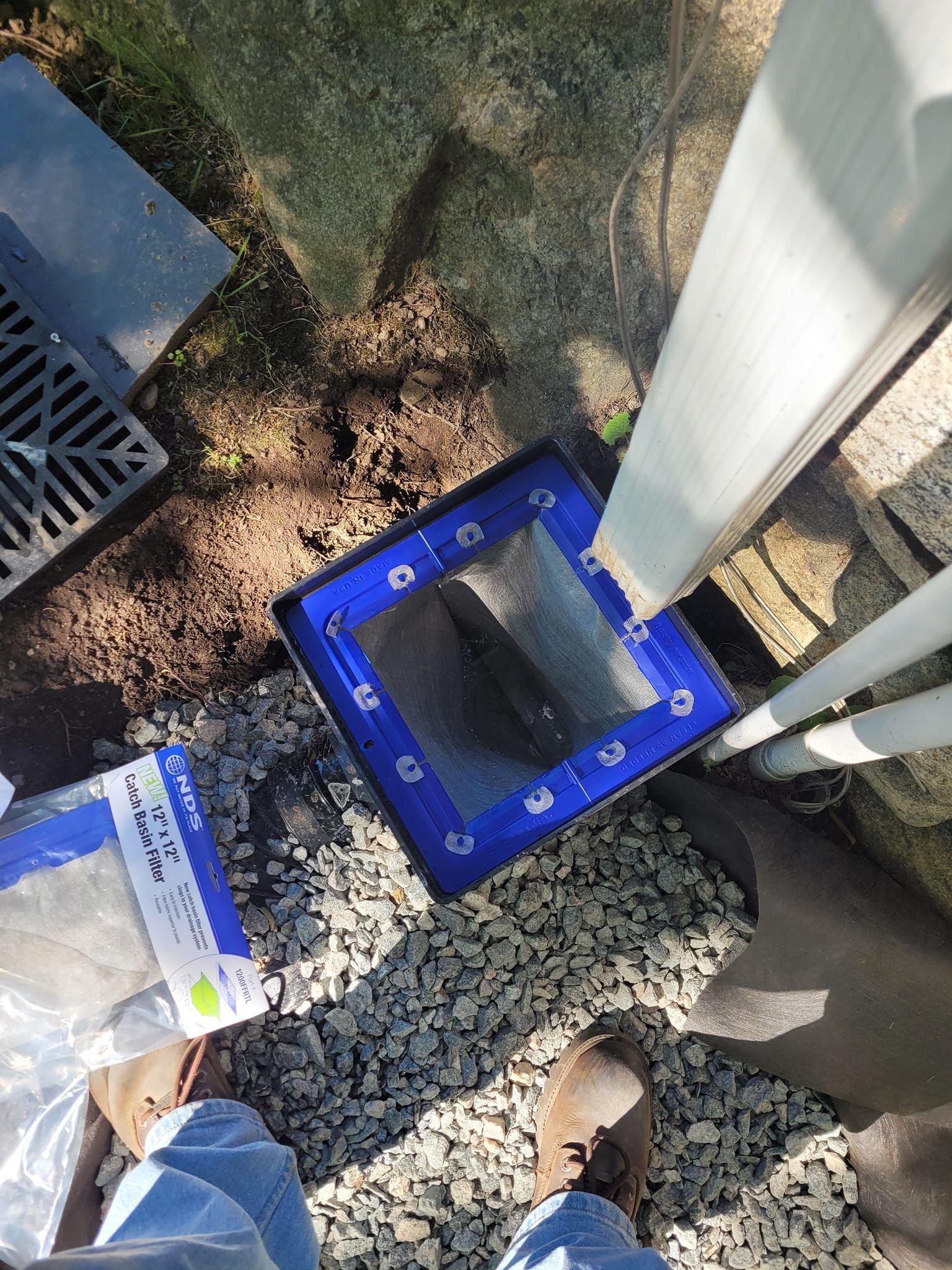A person is watering a lettuce plant with a watering can.