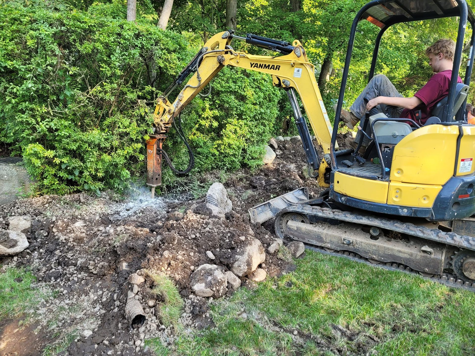 A person is cutting a hedge with a hedge trimmer.