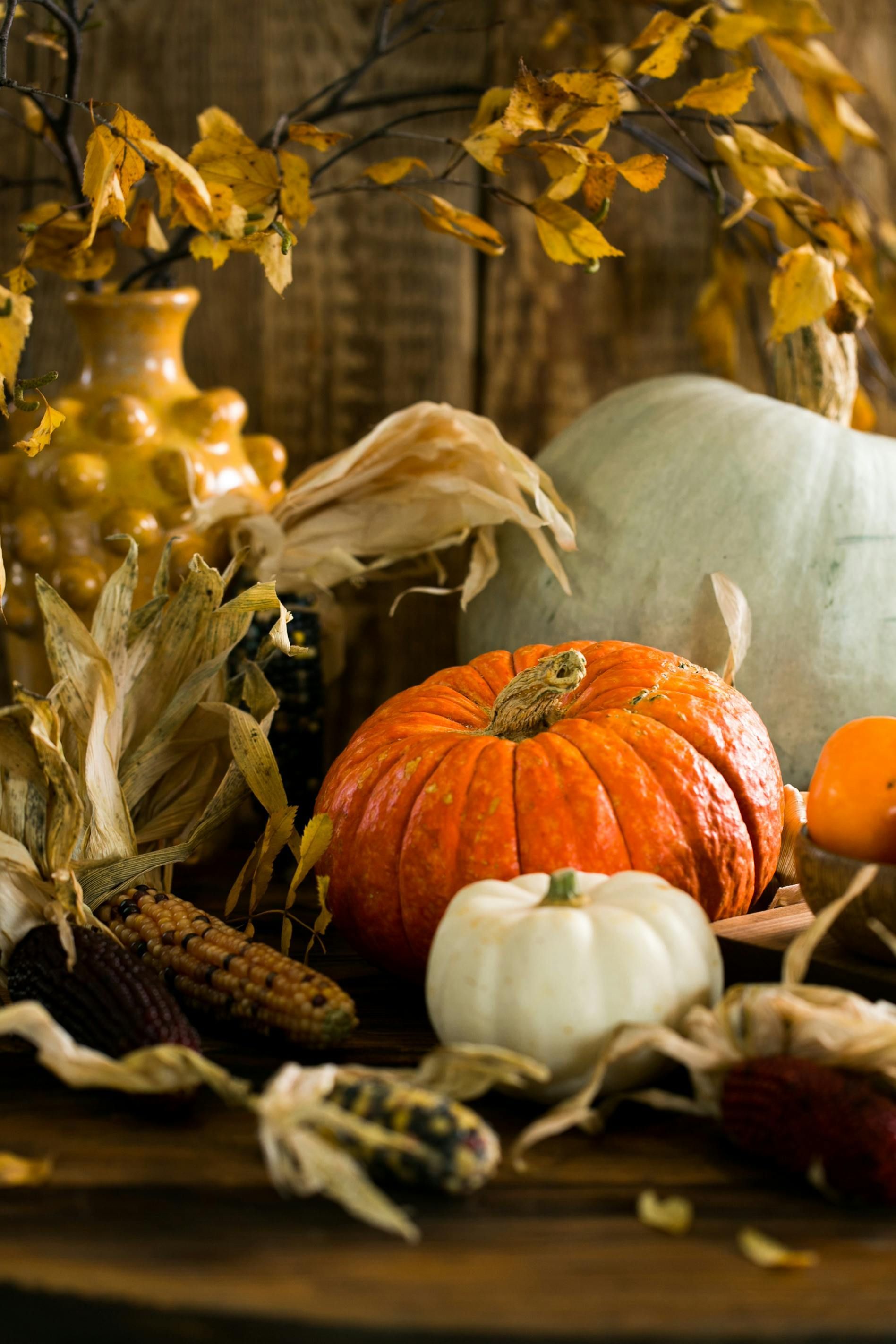 Pumpkins and gourds in fall colors with corn husks and yellow leaves on a wooden surface.