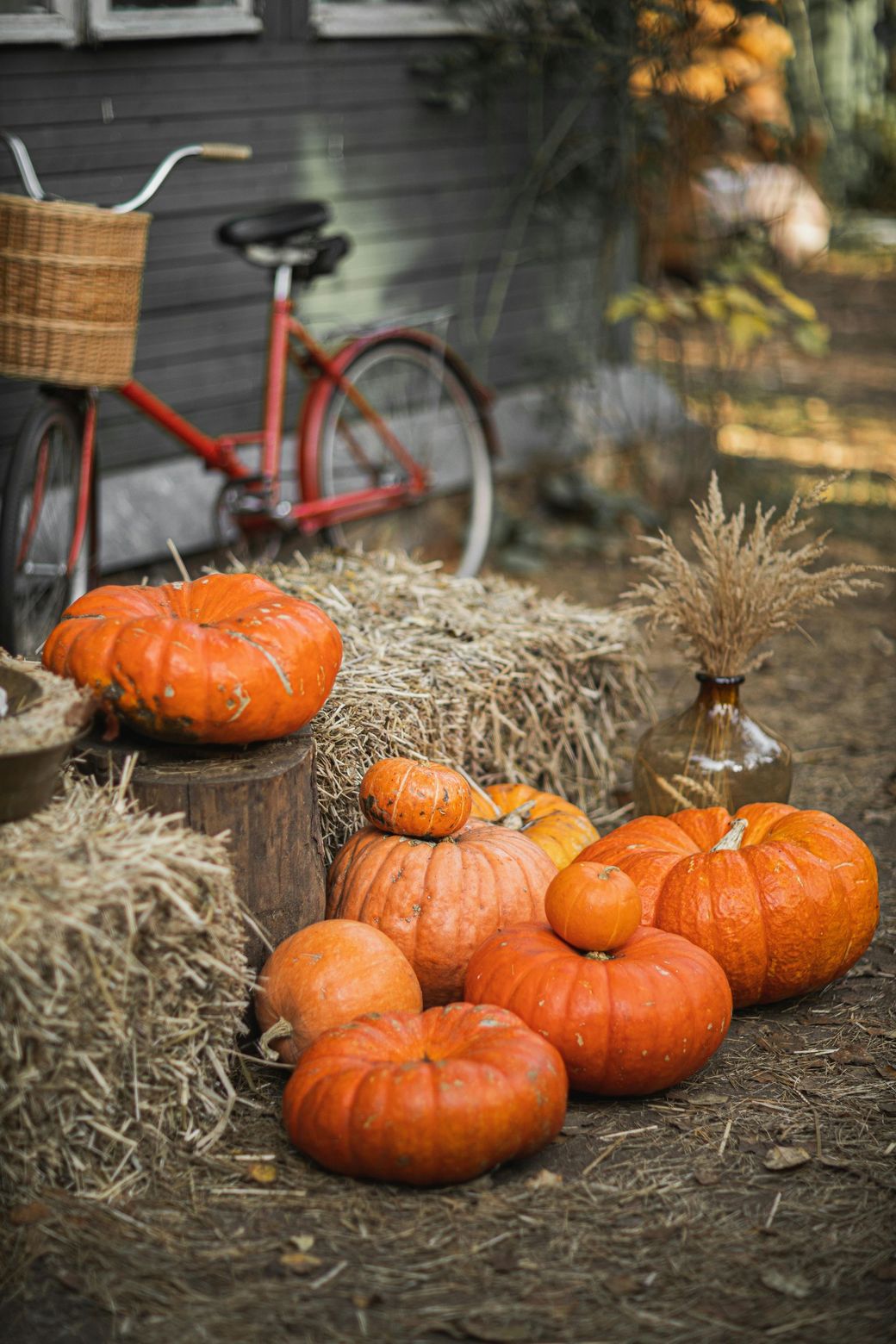 Pumpkins, hay bales, and a red bicycle create a fall-themed scene outdoors.