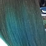 Cabello ombré azul y verde azulado con una botella de tinte para el cabello negro y plateado visible.