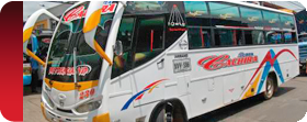 Empresa Flota Cachira Ltda. - Variedad de buses