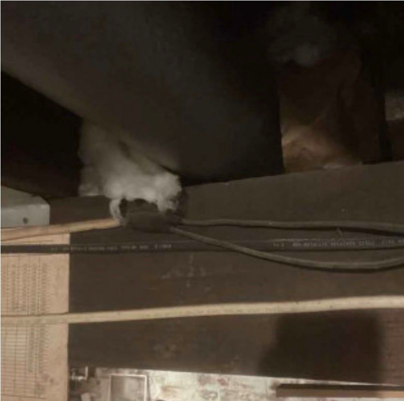 A cat is laying on a wooden floor in a dark room.